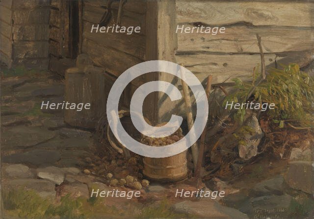 Study of a Treebucket with Potatoes, 1860. Creator: Anders Monsen Askevold.