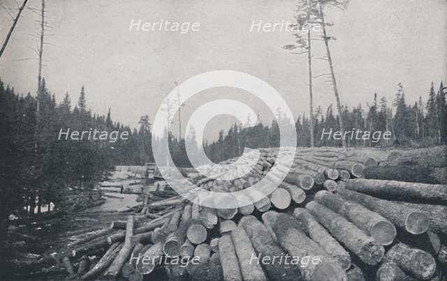'Lumbering', 1924. Artist: Unknown.
