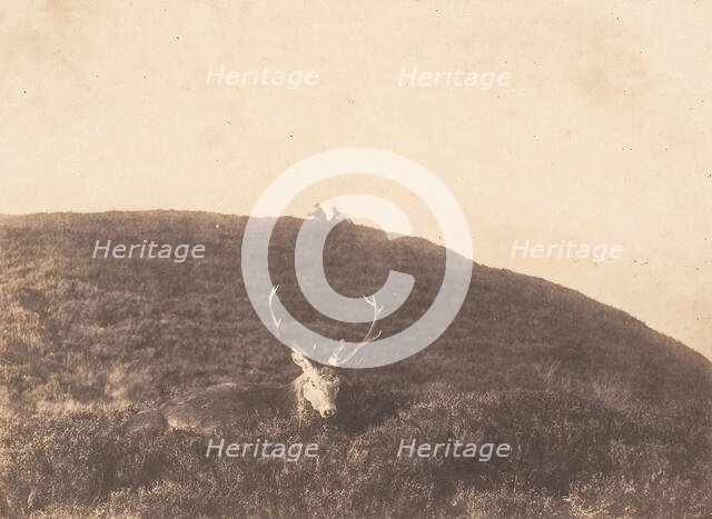 Hunters Stalking a Deer, ca. 1857. Creator: Horatio Ross.
