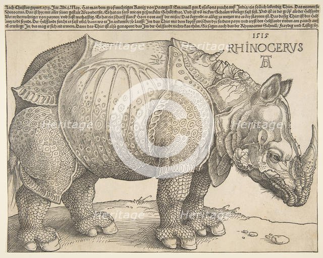 The Rhinoceros.n.d. Creator: Albrecht Durer.