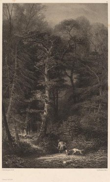 Intérieur de Forêt. Creator: Karl Bodmer.