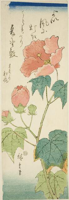 Hibiscus, c. 1843/47. Creator: Ando Hiroshige.