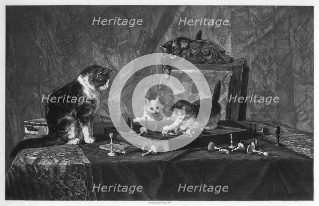 Cats playing with a chessboard.Artist: Goupil and Co