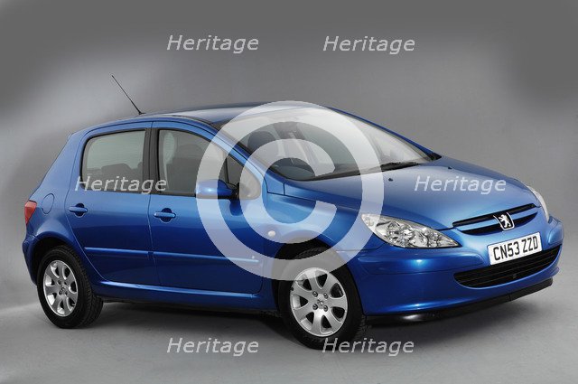 2003 Peugeot 307 Artist: Unknown.