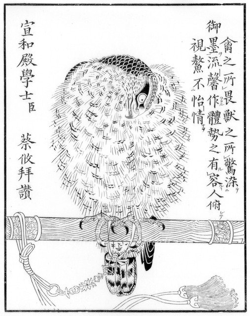 Falcon, 1886. Artist: Unknown