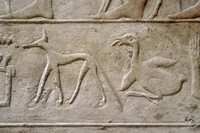 Duck and jackal, Hieroglyphic characters, Mastaba of Kagemni, Saqqara, Egypt, 2350 BC (2003). Creator: Unknown.
