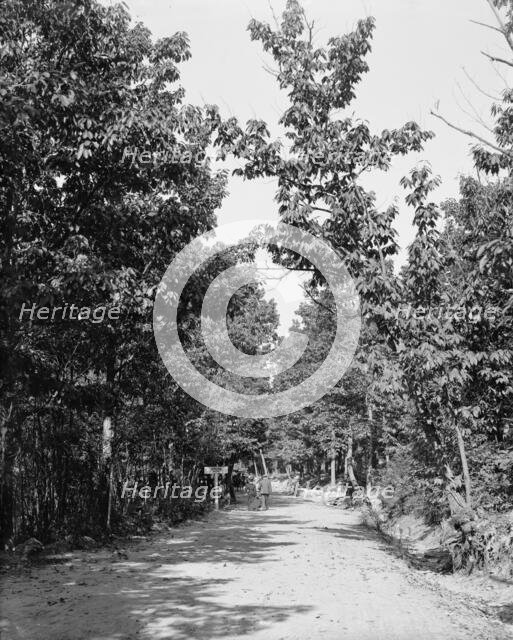 Road to High Rock, Pen Mar Park, Md., between 1900 and 1906. Creator: Unknown.