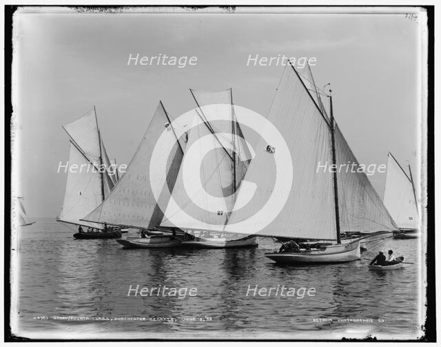 Start, fourth class, Dorchester regatta, 1888 June 18. Creator: Unknown.