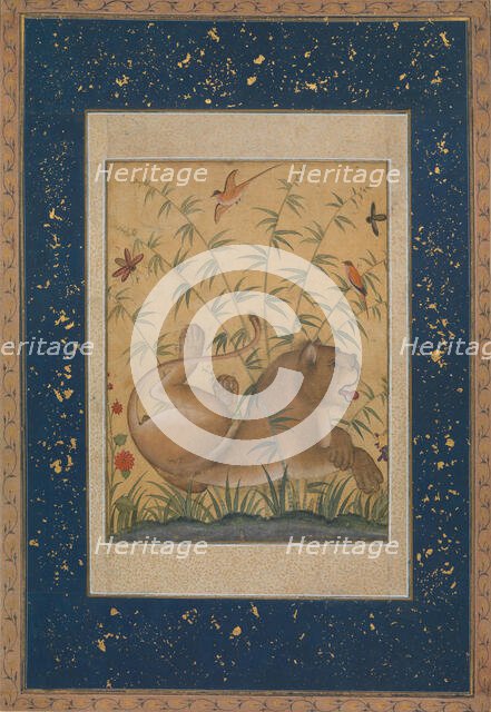 Lion at Rest, ca. 1585. Creator: Mansur.