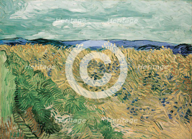 Wheatfield With Cornflowers, 1890.