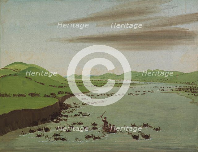 Buffalo Herds Crossing the Upper Missouri, 1832. Creator: George Catlin.