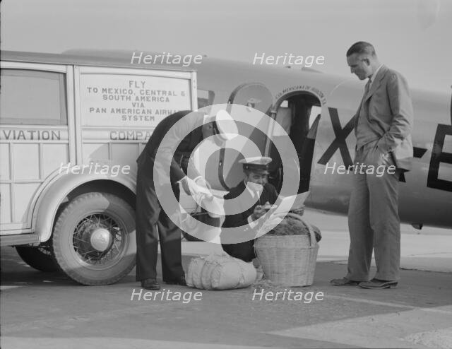 Plant quarantine inspectors examining baggage from Mexico, Glendale Airport, California, 1937. Creator: Dorothea Lange.