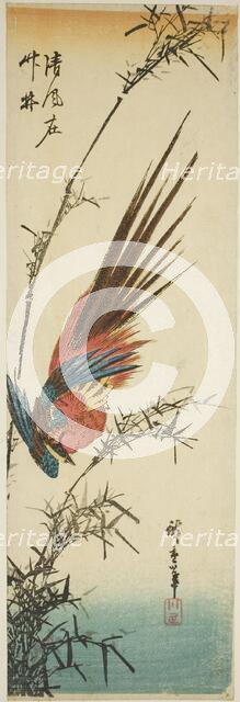 Copper pheasant and bamboo, 1840s. Creator: Ando Hiroshige.