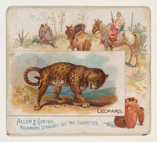 Leopard, from Quadrupeds series (N41) for Allen & Ginter Cigarettes, 1890. Creator: Allen & Ginter.
