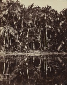 Tetiaroa - Un lagon des Paumotu, 1880s or 1890s. Creator: Charles Spitz.