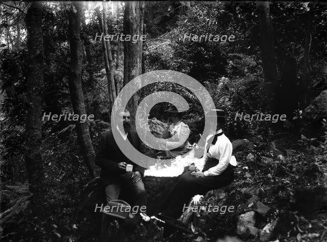 Rainforest walk, picnic possibly Tamborine Mountain region, c1900s. Creator: Robert Augustus Henry L'Estrange.