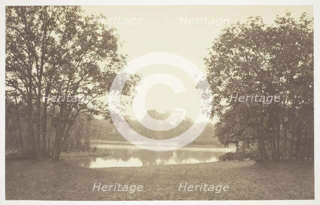 Untitled, c. 1850. [Trees near water in the Bois de Boulogne, a park in Paris].  Creator: Charles Marville.