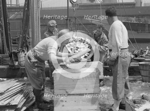 Dock stevedores packing and icing fish at the Fulton fish market, New York, 1943. Creator: Gordon Parks.
