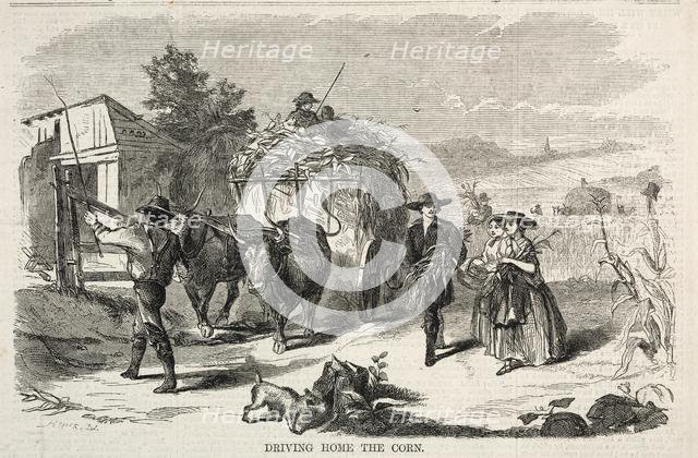 Driving Home the Corn, 1858. Creator: Winslow Homer (American, 1836-1910).