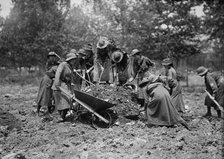 Girl Scouts Gardening, 1917. Creator: Harris & Ewing.