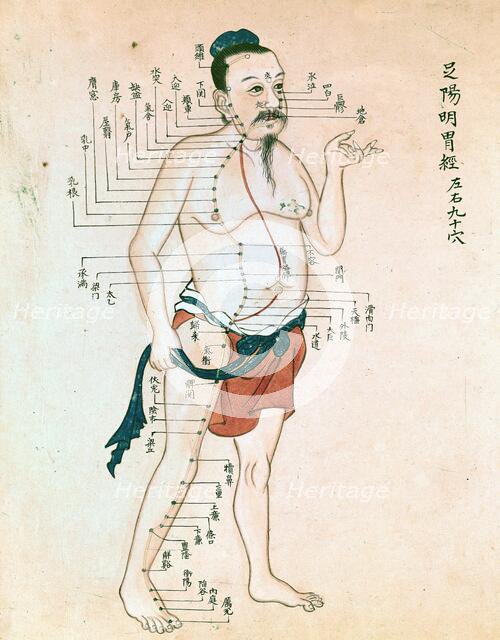 Acupuncture chart with a series of points indicated on the figure of a standing Chinese man. Creator: Unknown.