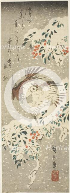 Sparrows Flitting about Snow-covered Nandina as More Snow Falls, c. 1840. Creator: Ando Hiroshige.