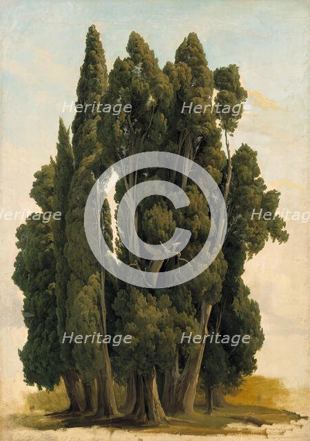Cypresses. Study, 1843. Creator: Gustav Wilhelm Palm.