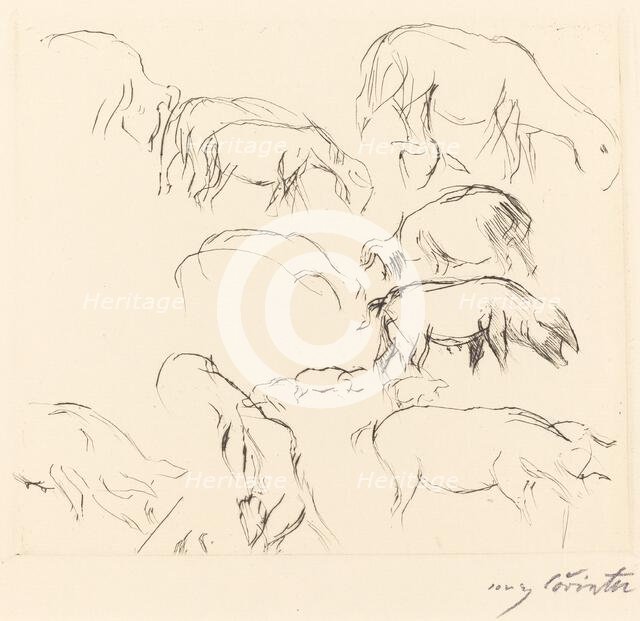 Verschiedene Tierstudien (Animal Studies), 1917. Creator: Lovis Corinth.
