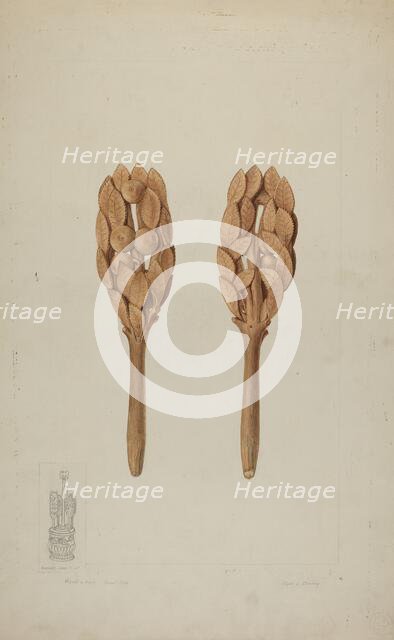 Wood Carving, 1935/1942. Creator: Clyde L. Cheney.