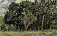 Wood, 1919. Creator: Alfred William Finch.