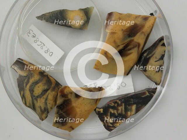 Glass Fragments, Coptic, 4th-early 5th century. Creator: Unknown.