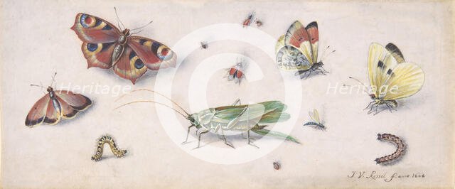 Insects, Butterflies, and a Grasshopper, 17th century. Creator: Jan van Kessel.