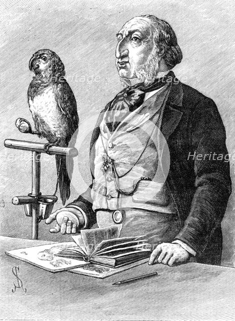 Odd Sketches at the Zoological Gardens: "Birds of a Feather", 1881. Creator: Unknown.