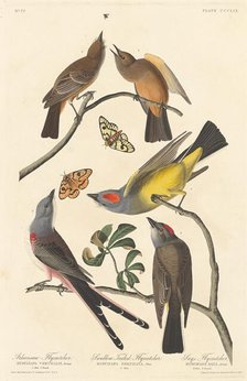 Arkansaw Flycatcher, Swallow-tailed Flycatcher and Says Flycatcher, 1837. Creator: Robert Havell.
