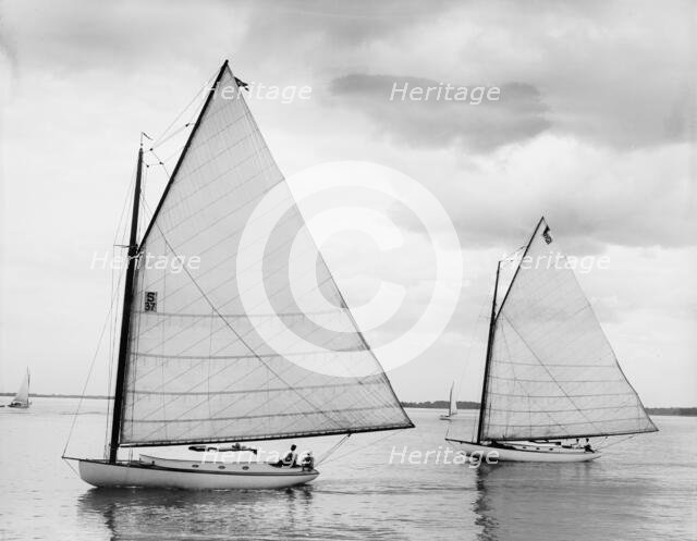 Dot and Kit, 1899 June 17. Creator: John S Johnston.