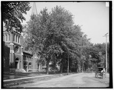 Oak St., north from Methodist church, Plattsburgh, N.Y., c1907. Creator: Unknown.