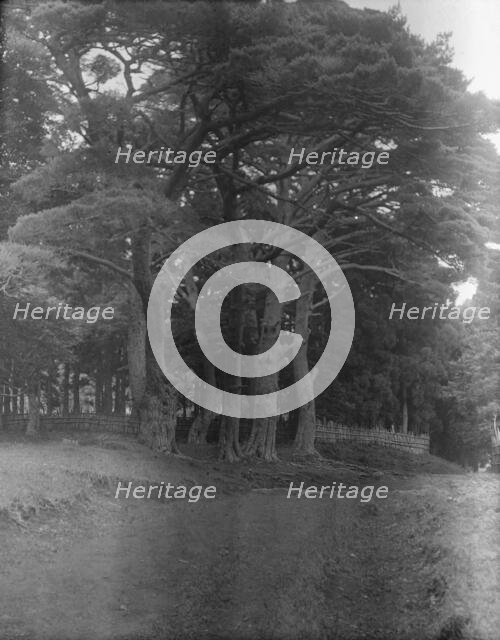 Travel views of Japan and Korea, 1908. Creator: Arnold Genthe.