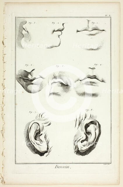 Design: Facial Anatomy from Encyclopédie, 1762/77. Creator: A. J. Defehrt.