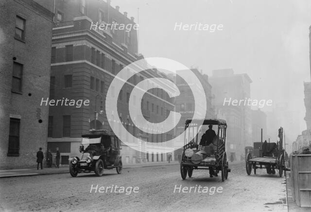 Hospital of N.Y. Women's League for Animals, 1914. Creator: Bain News Service.