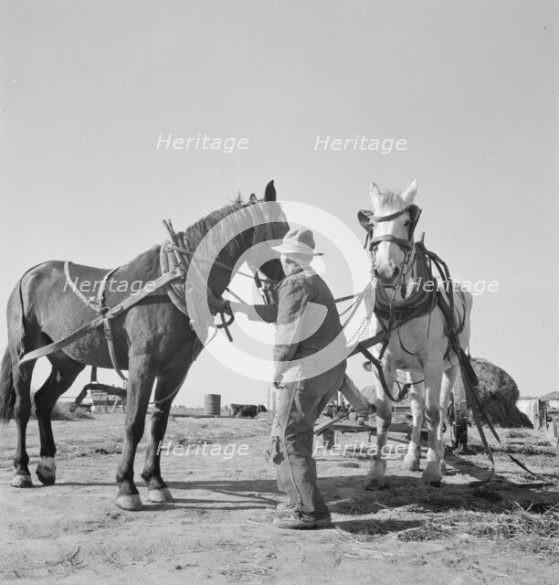 Mr. Browning prepares to go into the field to mow his hay, Dead Ox Flat, Oregon, 1939. Creator: Dorothea Lange.