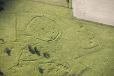 Iron Age and Romano British settlement remains, Cranborne Chase, Wiltshire, 2016. Creator: Damian Grady.