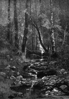 A Place for a Picnic, 1881. Creator: William James Palmer.