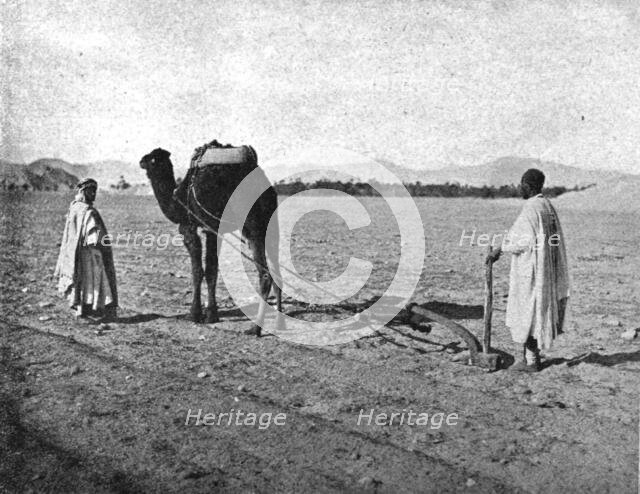 ''Un charrue arabe; Afrique du nord', 1914. Creator: Unknown.