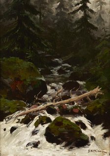 Stream in the Forest, 1893. Creator: Stanislaw Witkiewicz.