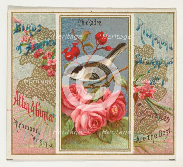 Chickadee, from the Birds of America series (N37) for Allen & Ginter Cigarettes, 1888. Creator: Allen & Ginter.