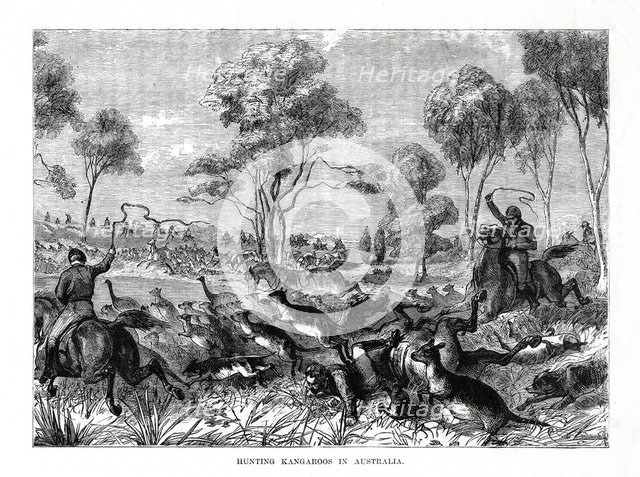 Hunting kangaroos, Australia, 1877. Artist: Unknown
