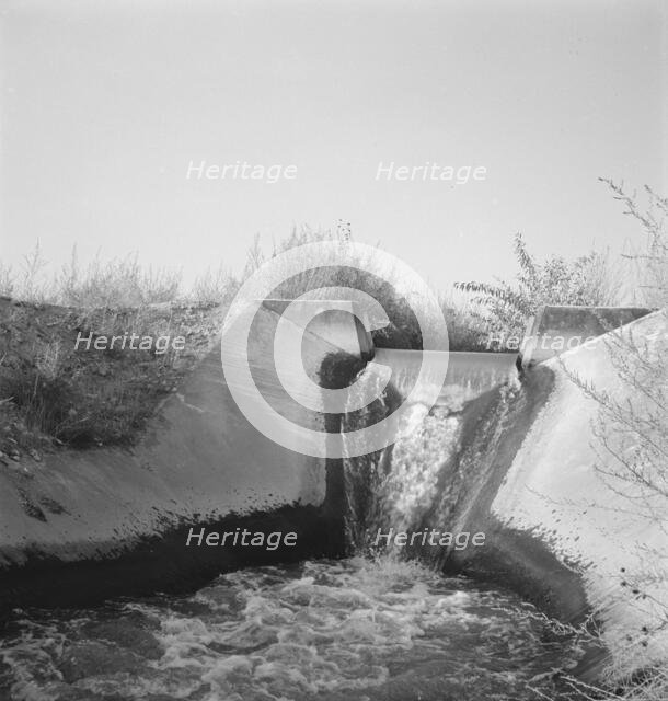 Irrigation canal seven miles west of Nyssa, Malheur County, Oregon, 1939. Creator: Dorothea Lange.