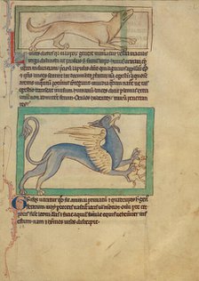 A Lynx; A Griffin; Northumberland Bestiary, about 1250-1260. Creator: Unknown.