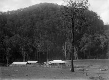 Robert Augustus Henry L'Estrange's "Homestead" Canungra, c1880s. Creator: Robert Augustus Henry L'Estrange.