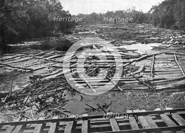 Cedar logs on the Tebicuary-Guazu River floating by the railway bridge, Paraguay, 1911. Artist: Unknown